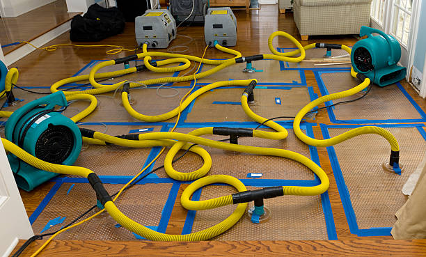 Professional Sewage Cleanup technician working in Woodworth, OH